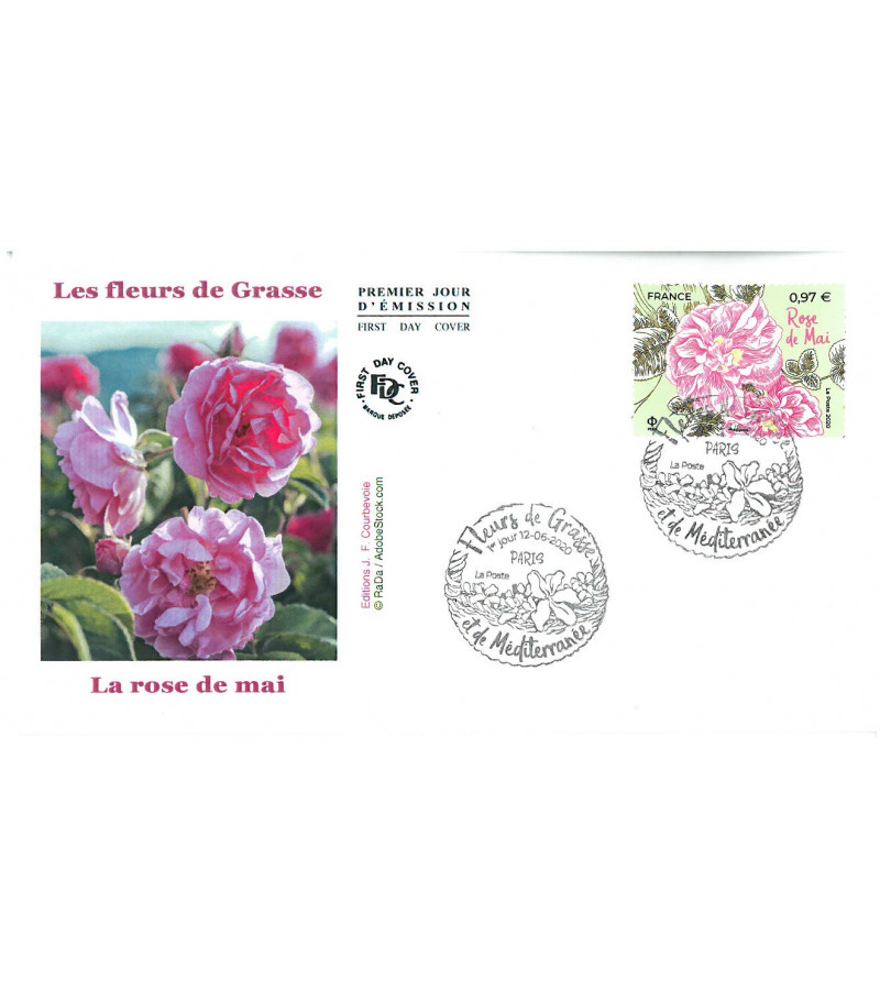 FLEURS DE GRASSE - ROSE DE MAI